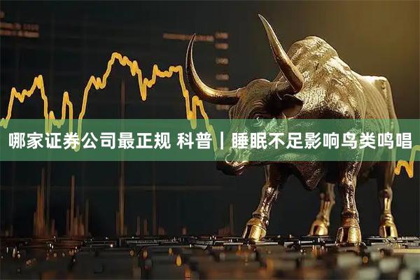 哪家证券公司最正规 科普|睡眠不足影响鸟类鸣唱