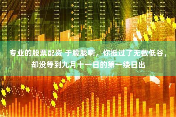 专业的股票配资 于朦胧啊，你挺过了无数低谷，却没等到九月十一日的第一缕日出
